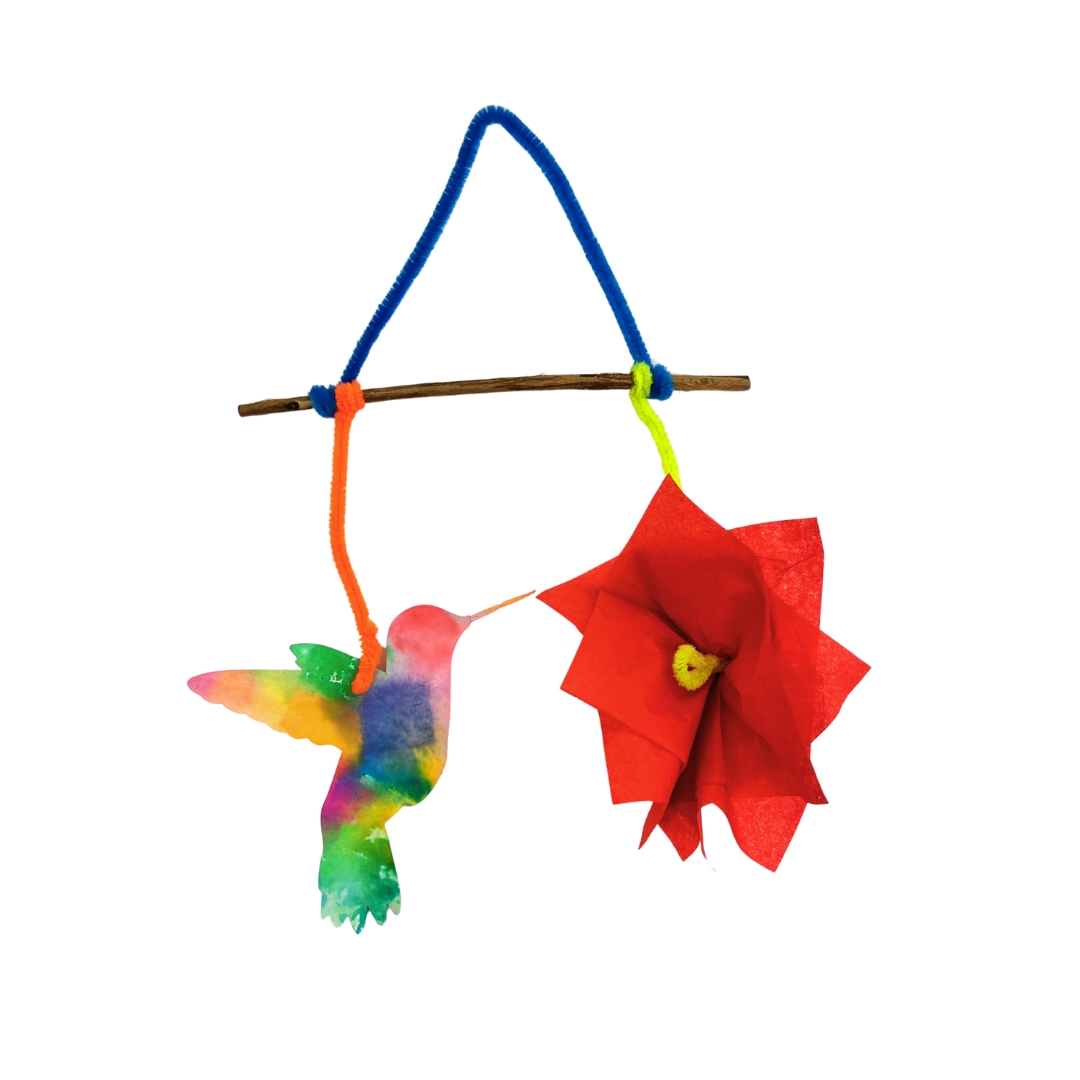 Creation Station: Hummingbirds